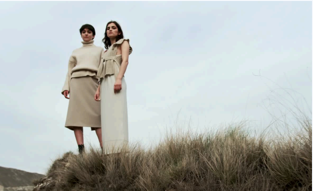 Models in Field